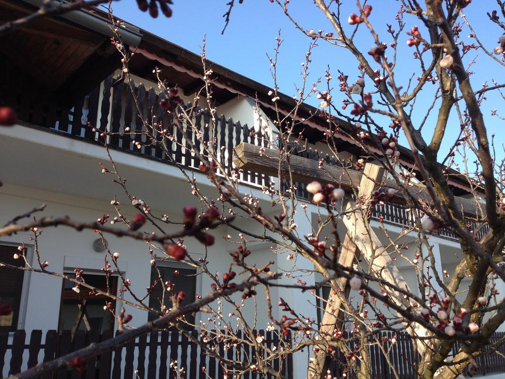 Pension Anna Rust Exterior foto